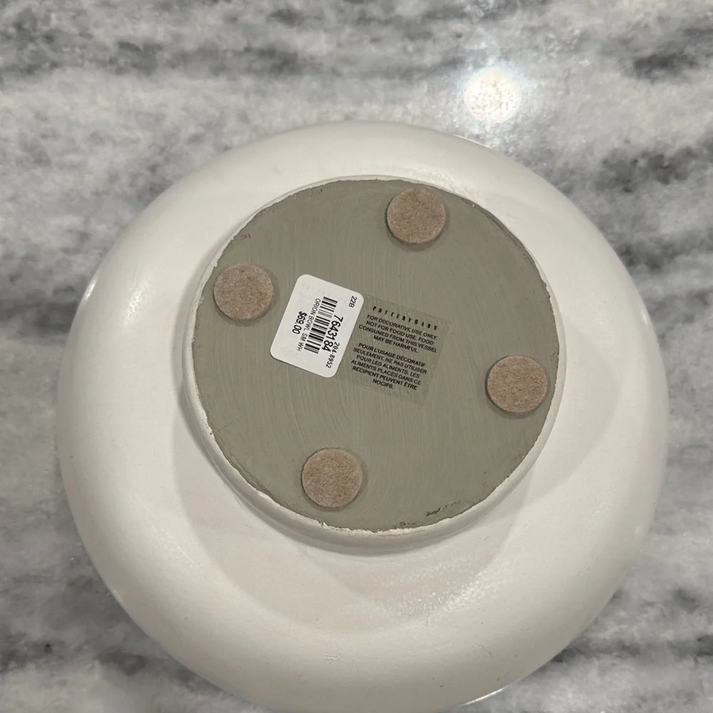 Pottery Barn Orion Bowl